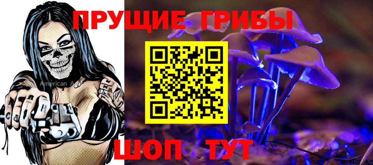 Волгоград  Псилоцибиновые грибы прущие грибы  Галлюциногенные грибы Psilocybe  Вход с VPN 