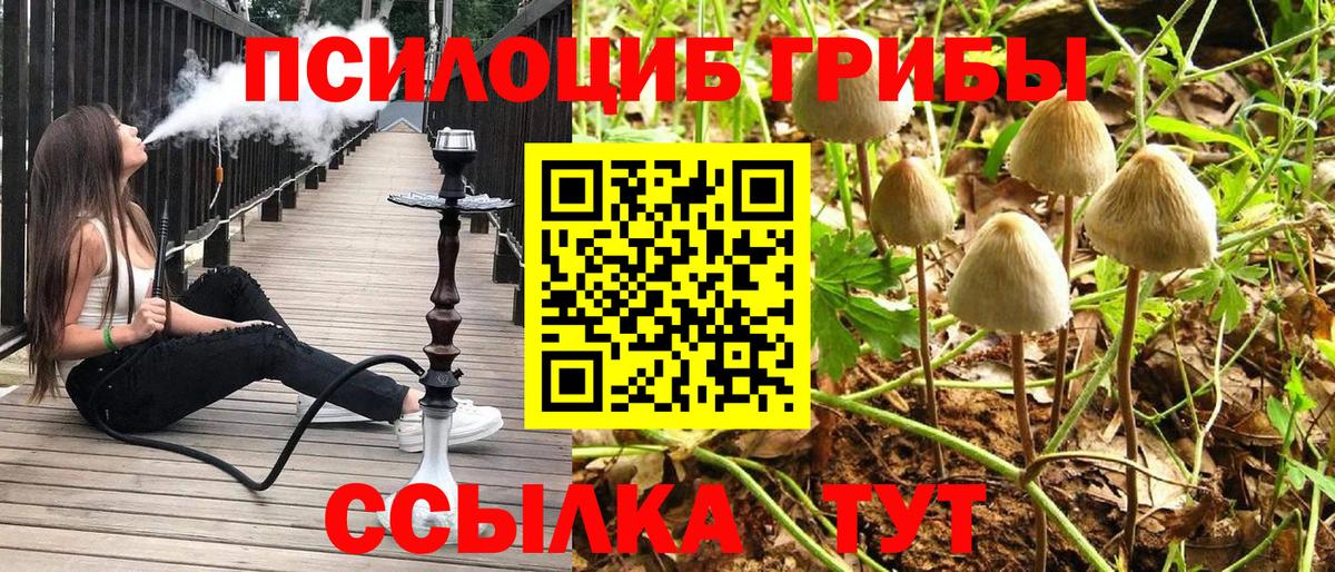 Псилоцибиновые грибы ЛСД Волгоград